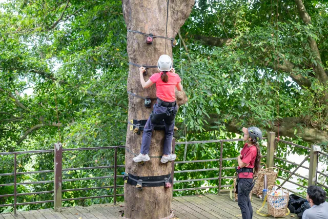 A participant in a red shirt and helmet climbs a tall tree trunk on a wooden platform while an instructor watches