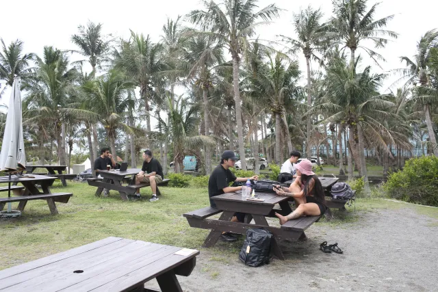 Small groups chatting at wooden picnic tables under tall palm trees outdoors