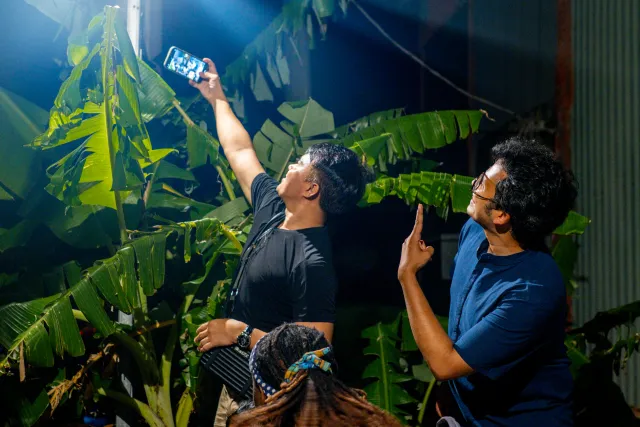 Two men take a smartphone selfie among large banana leaves at night outdoors