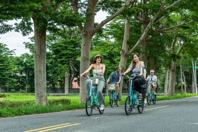 A group of four cyclists ride side by side along a tree-lined road on a sunny day
