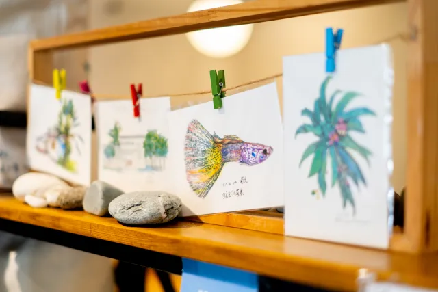 Illustrated postcards of fish and tropical plants clipped to a string on a wooden shelf