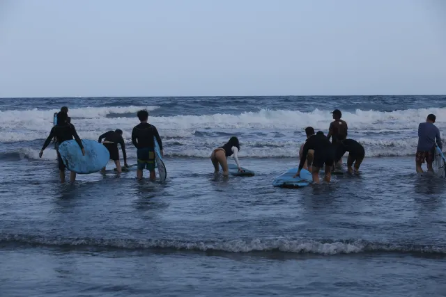 A group of surfers wading into breaking waves while carrying surfboards at dusk