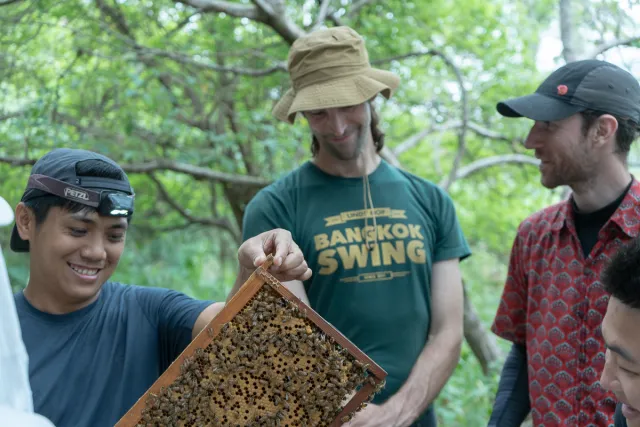 A young man smiles while holding a honeycomb frame covered in bees, as two others look on outdoors